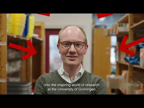 Impact in beeld - Paul Buijs