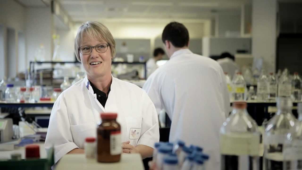 Rosalind Franklin Fellowship, University Medical Center Groningen - Marianne Rots