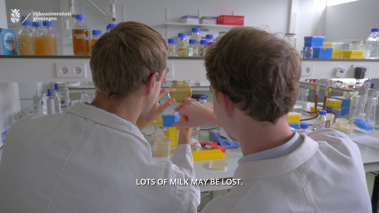 iGEM 2017: fermentation bacteria as virus betrayers?