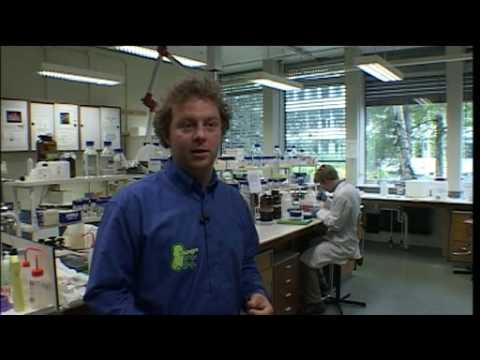 Organismen naar eigen ontwerp