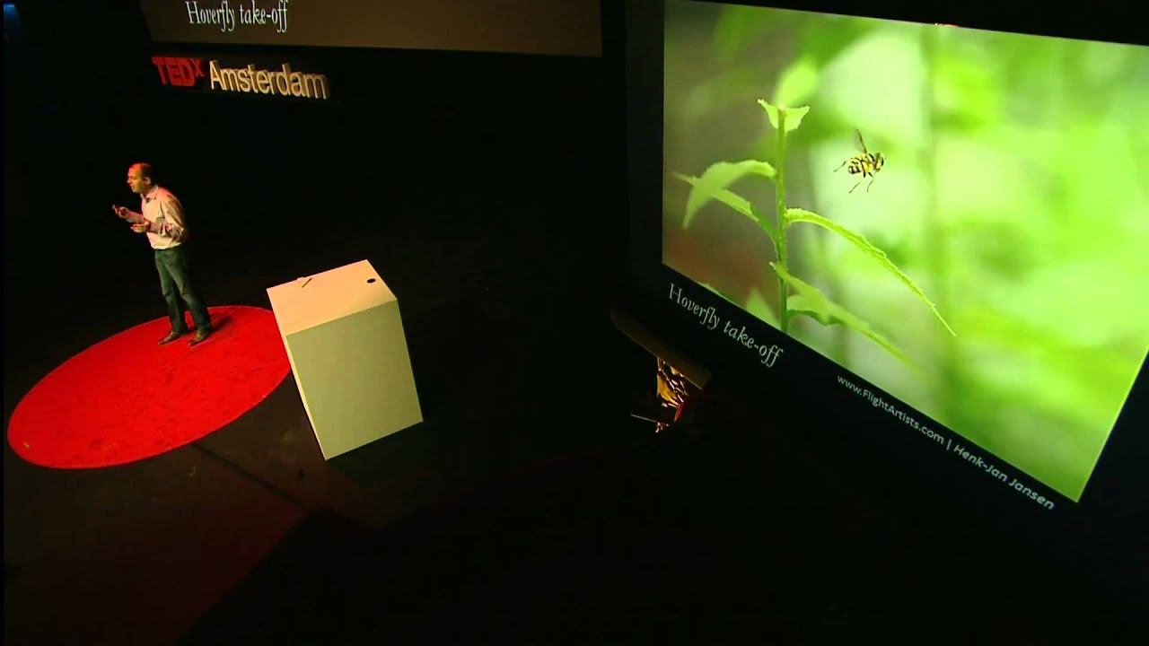 TEDxAmsterdam 2011 | David Lentink