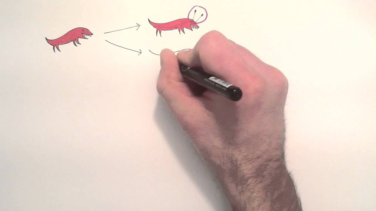 Chemische evolutie, werk van Sijbren Otto | Video Science LinX
