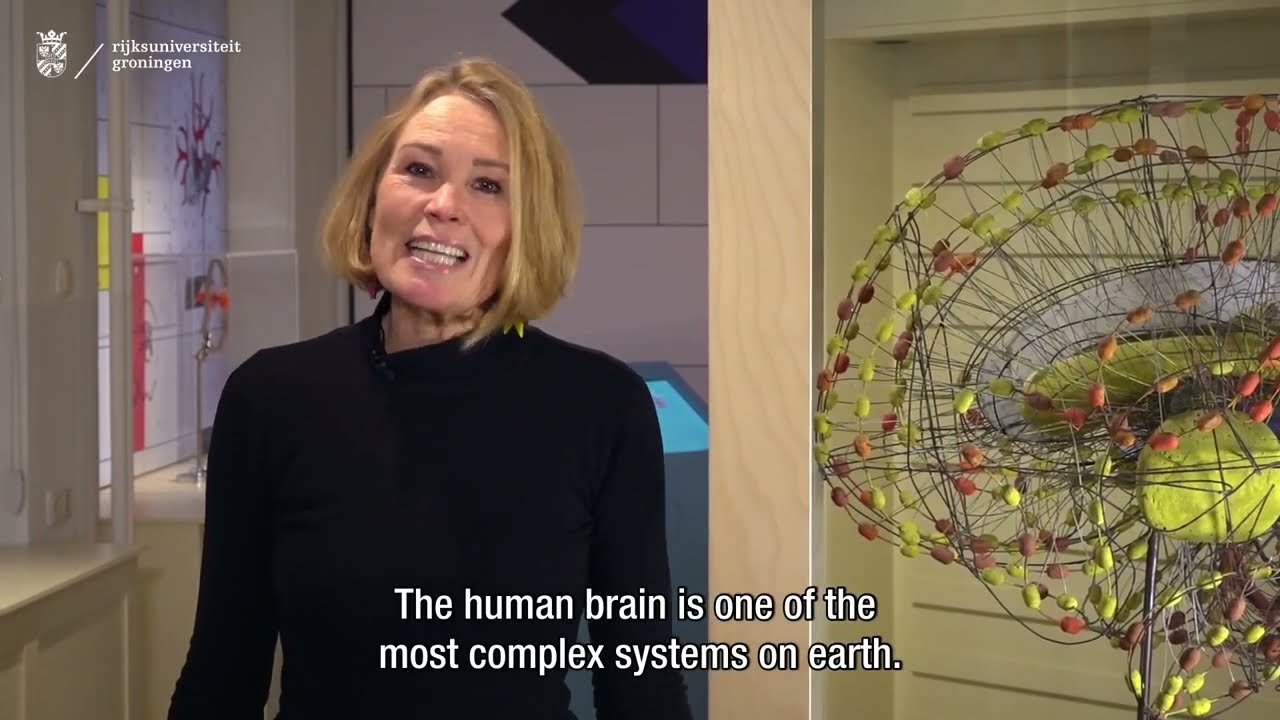 Nieuwe tentoonstelling Brainstorm in het Universiteitsmuseum