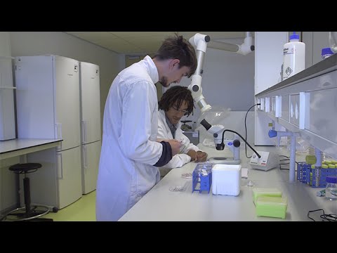 Blauwe Bio-energie