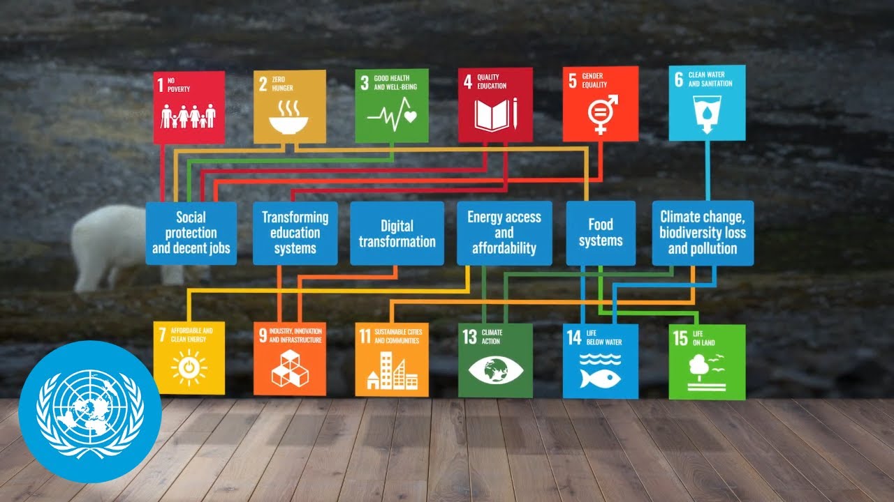 What it will take to achieve the Sustainable Development Goals?