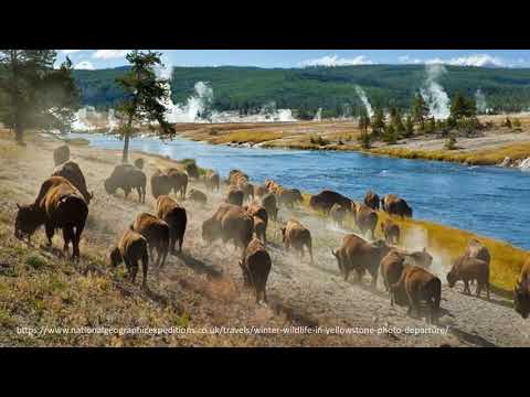 Prof. Marie Fujitani, University of Bremen: Tourism and National Parks: Dynamic Linkages and Contradictions