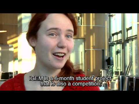 Unifocus 1, 16 januari 2013 De universiteit