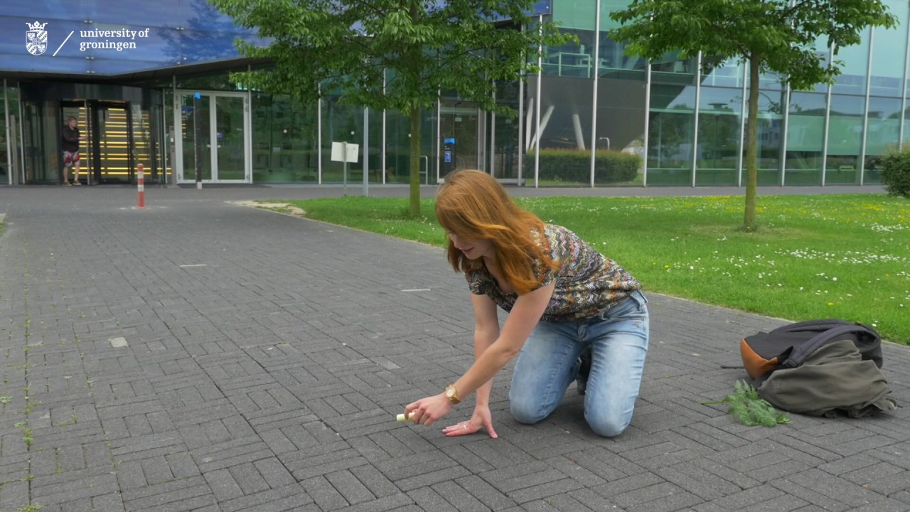 Kristel Lok, student Mathematics