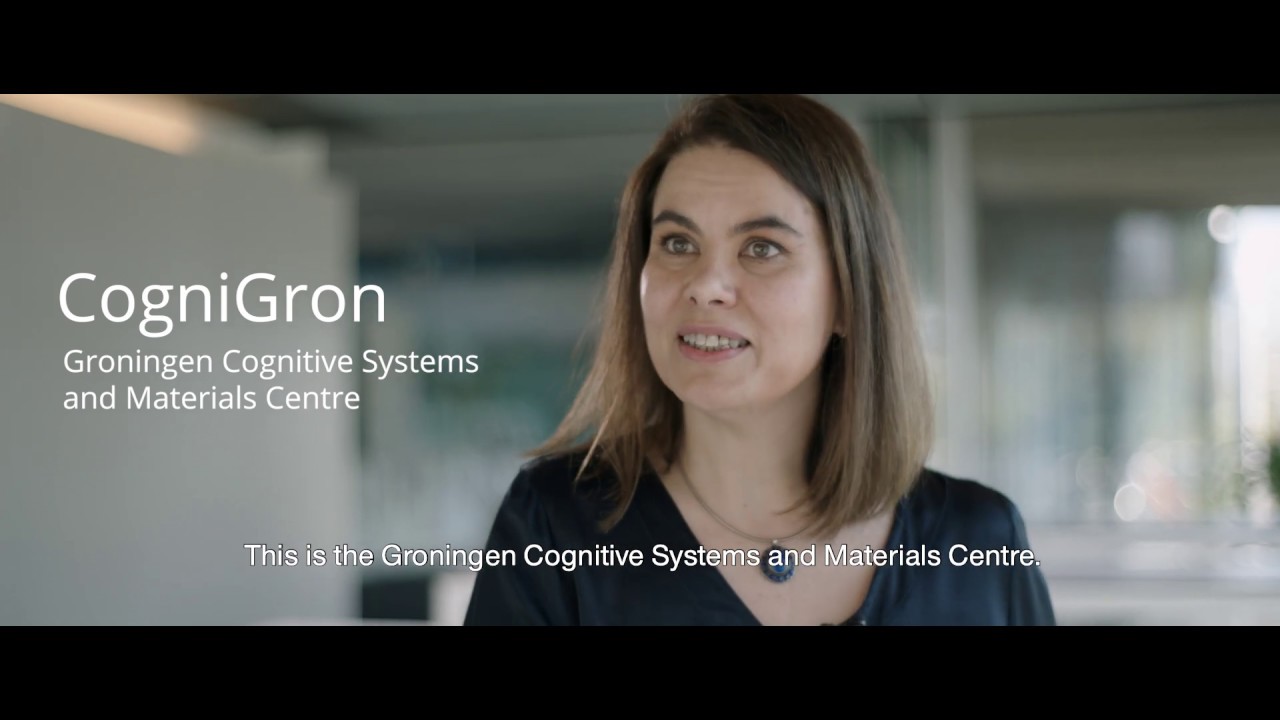 Professor Beatriz Noheda; a Rosalind Franklin Fellow success story!