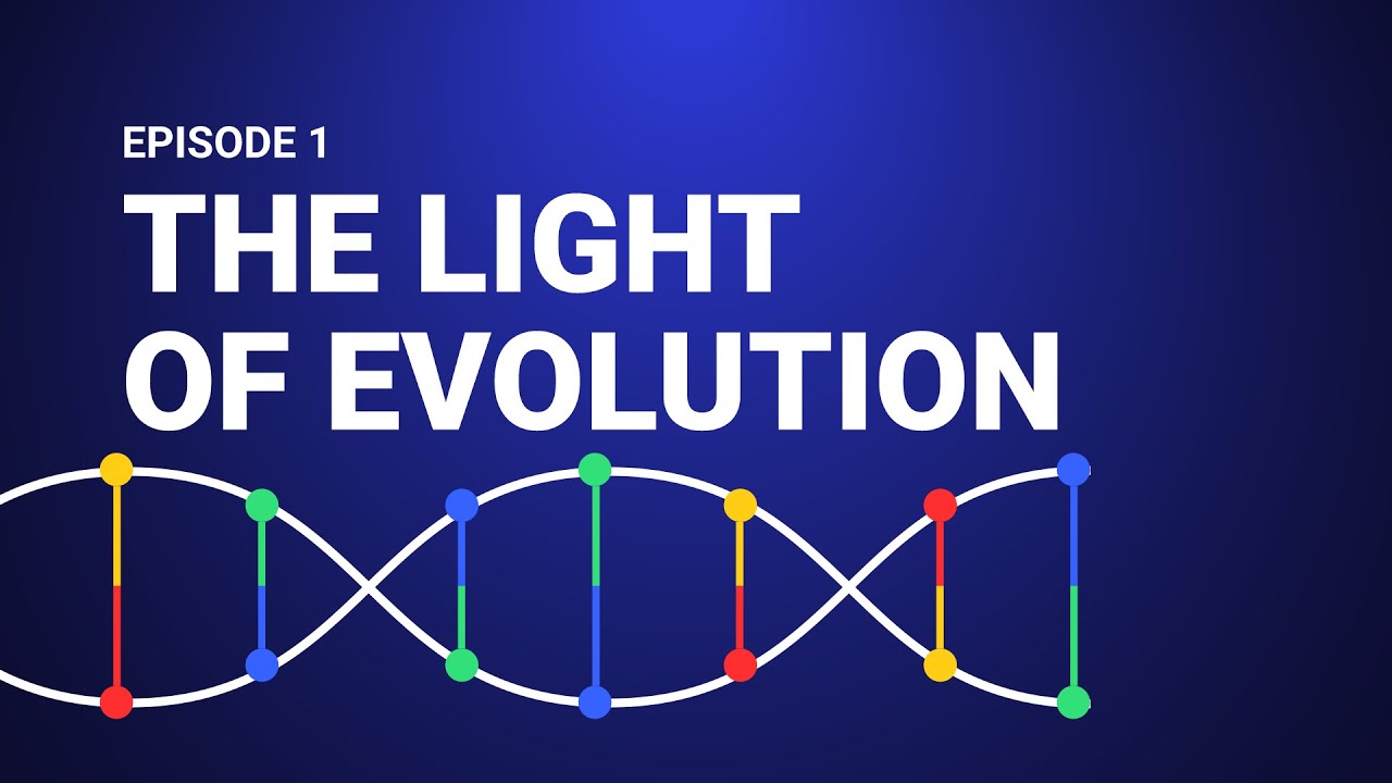 The Light of Evolution - Vir(Ev)o Episode 1