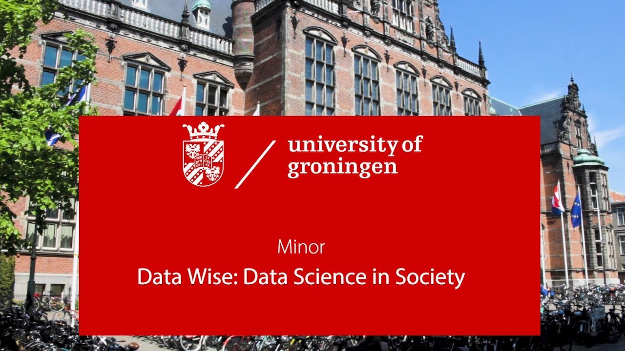 Minor Data Wise: Data Science in Society