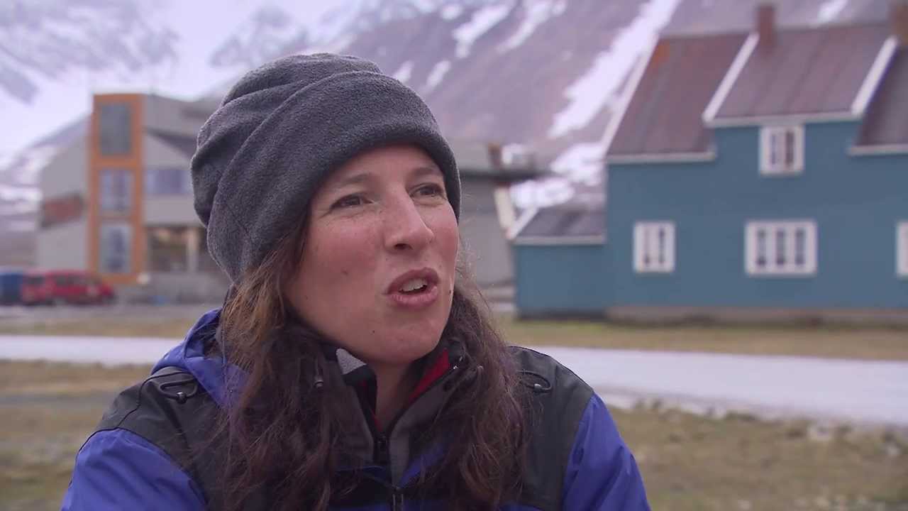 Knowledge about a sustainable North pole