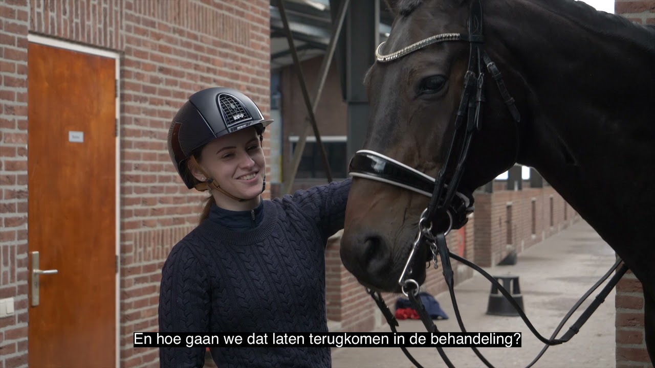 Maaike ten Hoor