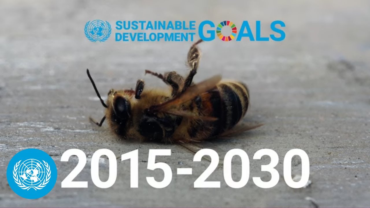 How to meet the Sustainable Development Goals together
