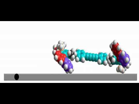 A four-wheeled molecule moving on a metal surface
