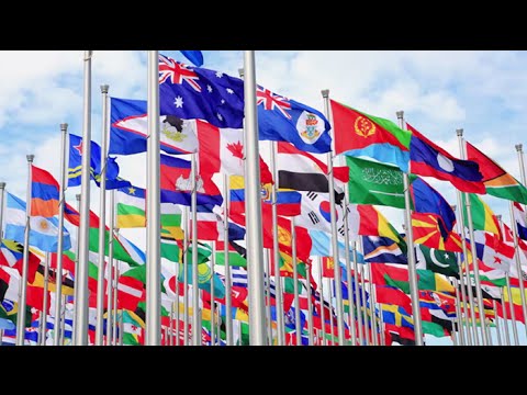 Global trade and income inequality