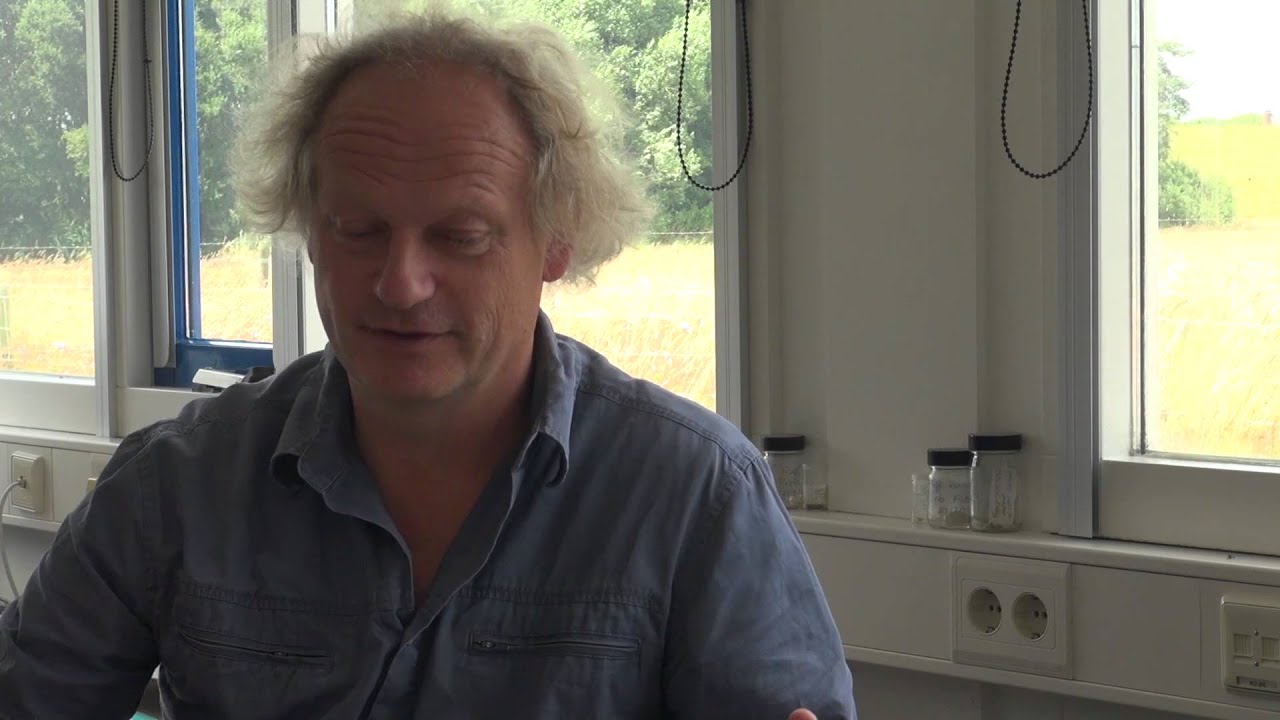 Piersma Spinoza prize 2014