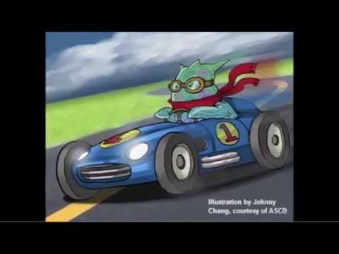 Dicty World Race