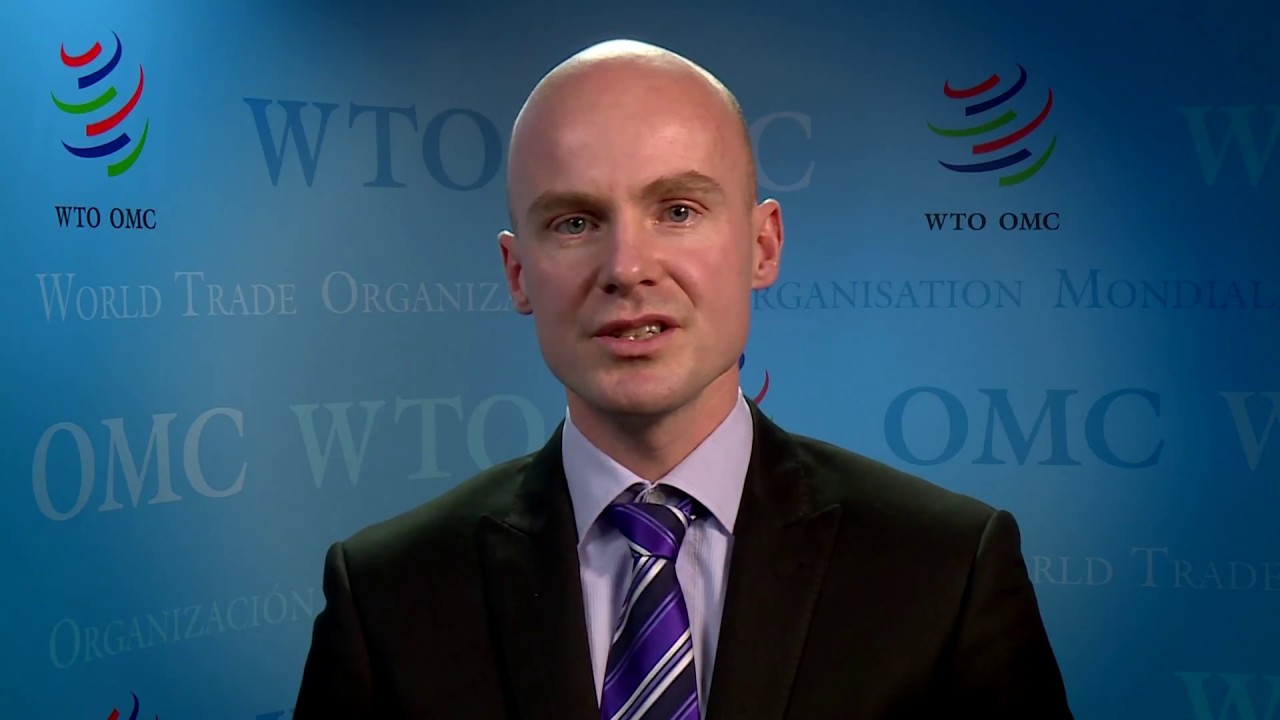 Polarization of the Labour Market: Mainly Driven by Technological Change