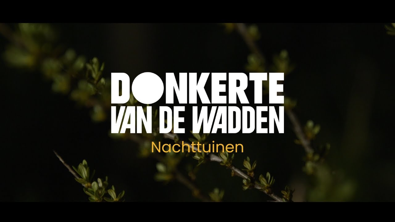 Wat is een nachttuin?