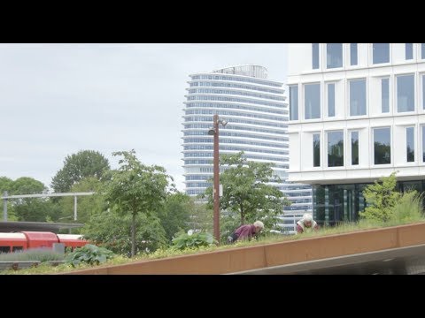Leeftijdsvriendelijke wijken
