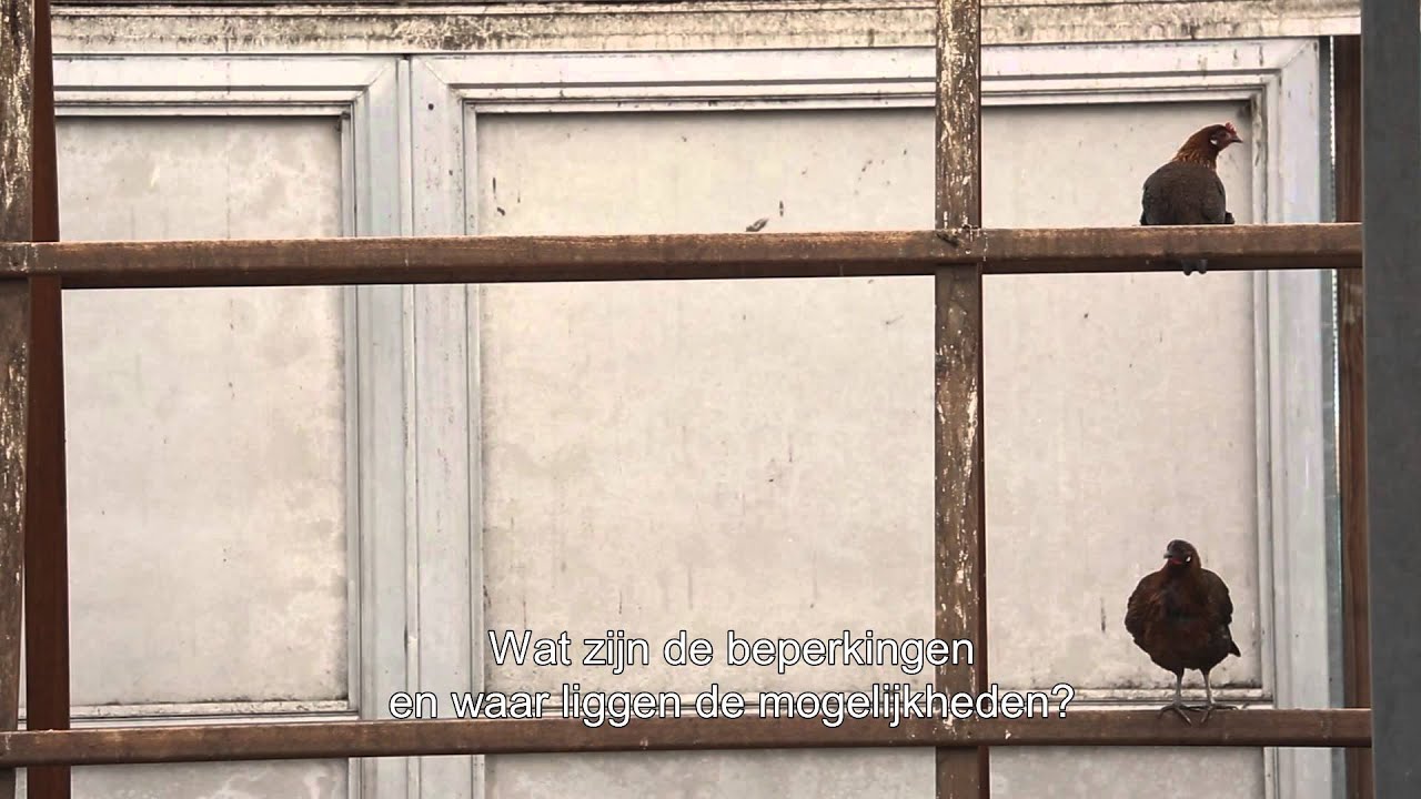 Groningen Institute for Evolutionary Life Sciences
