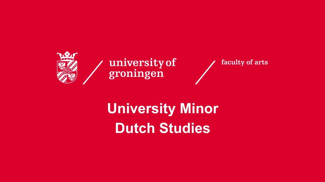 University Minor Dutch Studies