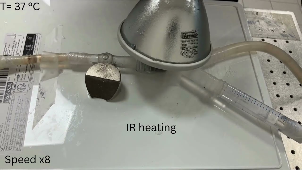 Video van een hydrogel die door een model van de bloedvaten wordt geleid met behulp van een magneet | Video Adriana Vasi