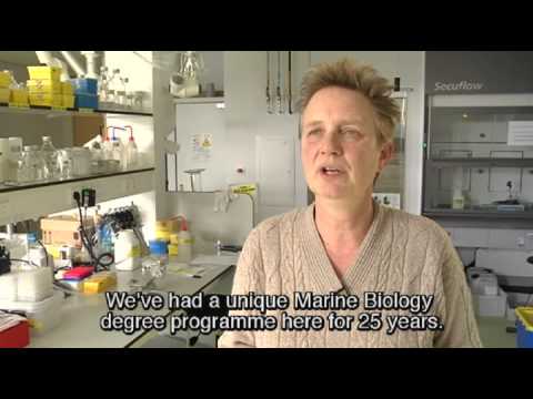 Unifocus 6, What is the University of Groningen doing in Antartica?