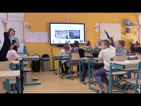 Hip lespakket over logistiek