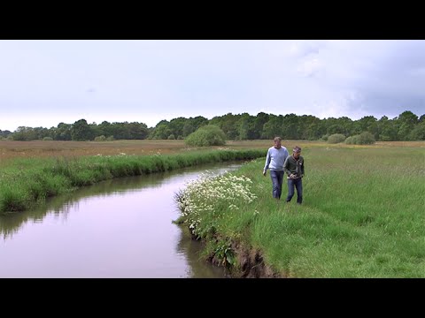 Landschapsbiografie van de Drentsche Aa
