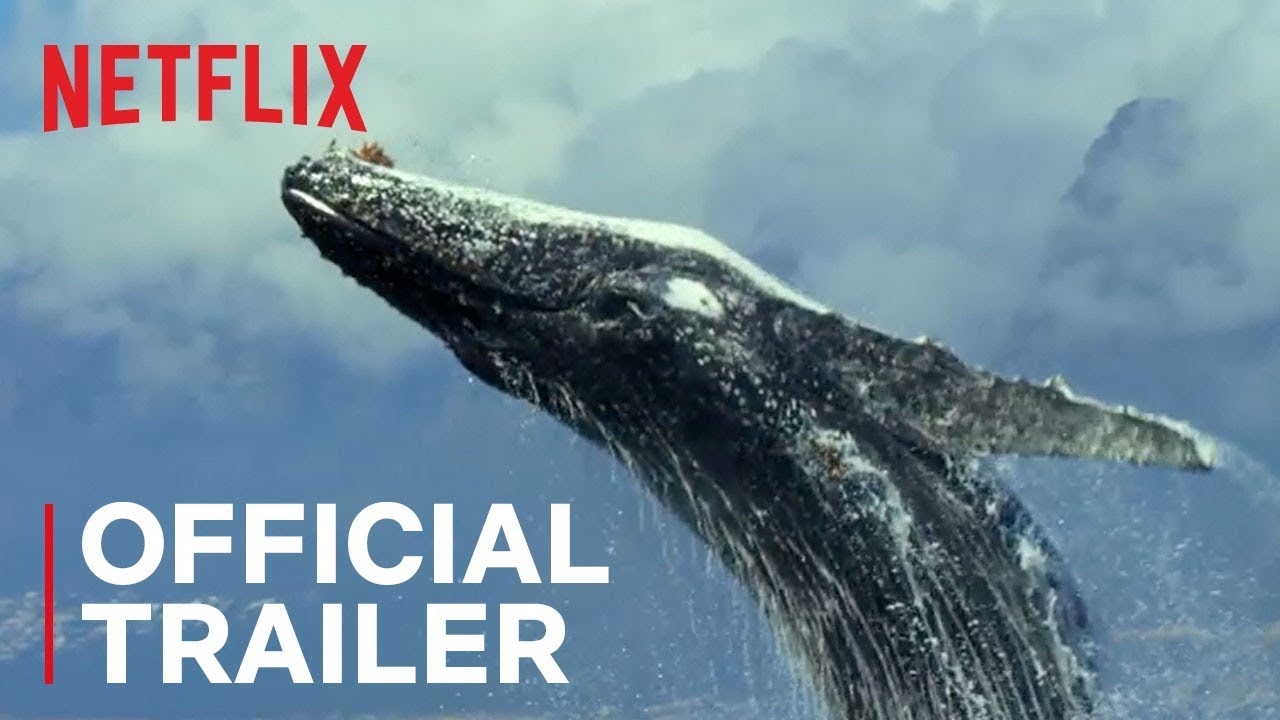 Our Planet (2019) - Trailer