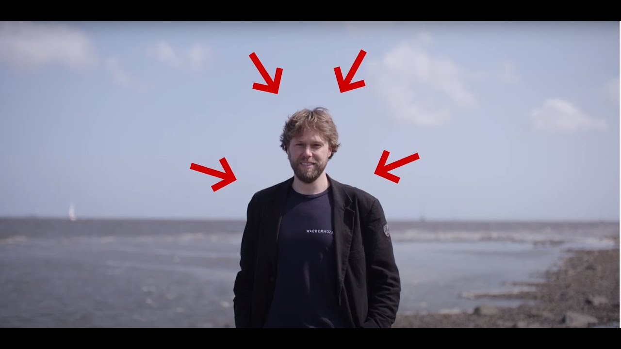Oscar Franken (Waddenmozaïek)