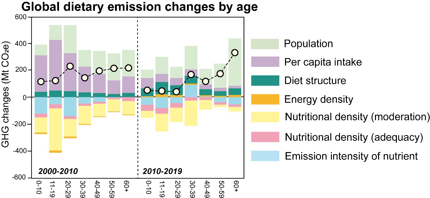 Global dietary emission changes by age