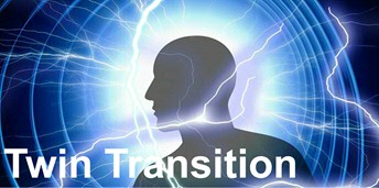 Twin Transition